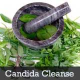 candida cleanse
